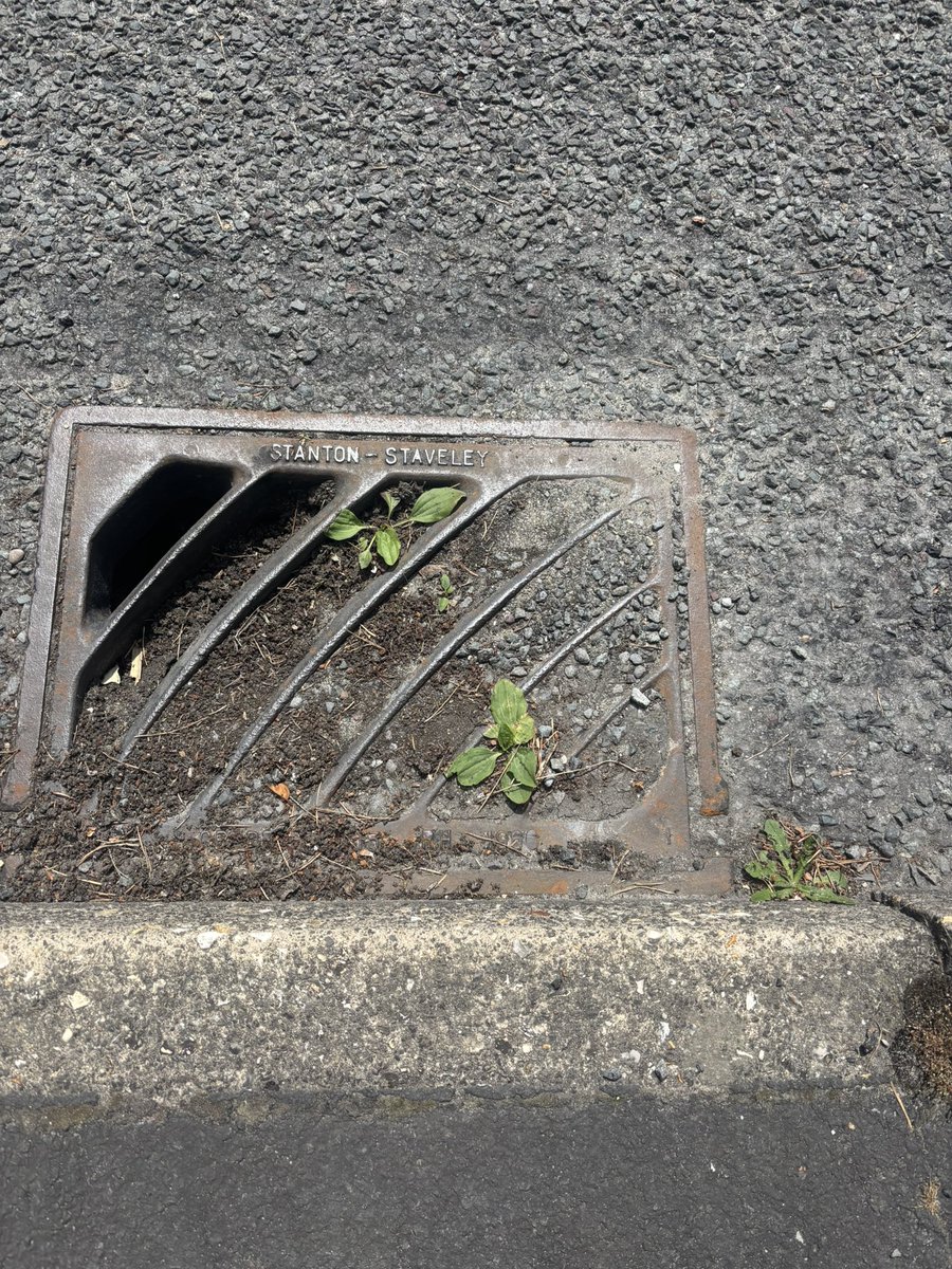 This is why we have more &amp; more flooding because the Councils just can’t be bothered to clear the drains. 
This appears to be happening everywhere. 
Why are we paying so much Council Tax when they don’t even do the most basic of jobs?