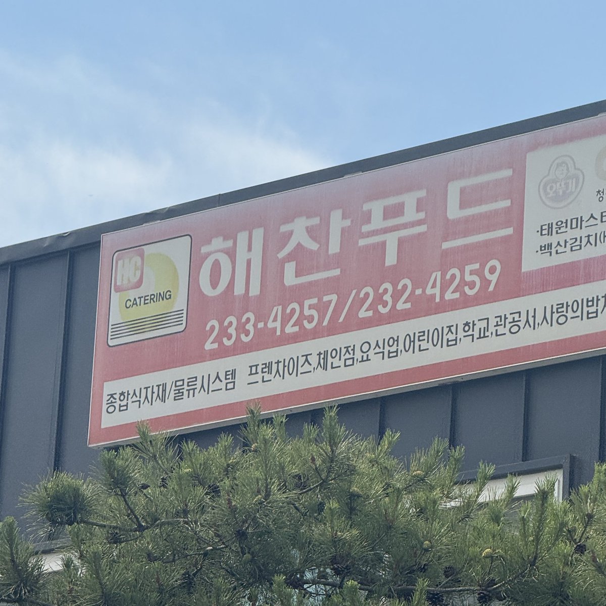 아 온갖것이 해찬푸두로 보인다 했는데 대충맞음