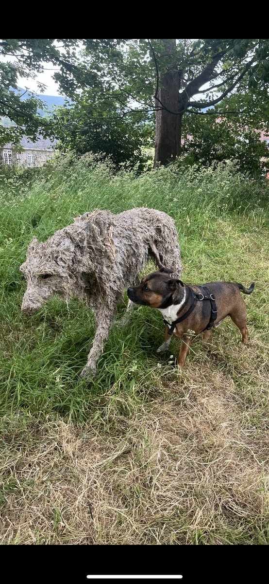 Big confuse