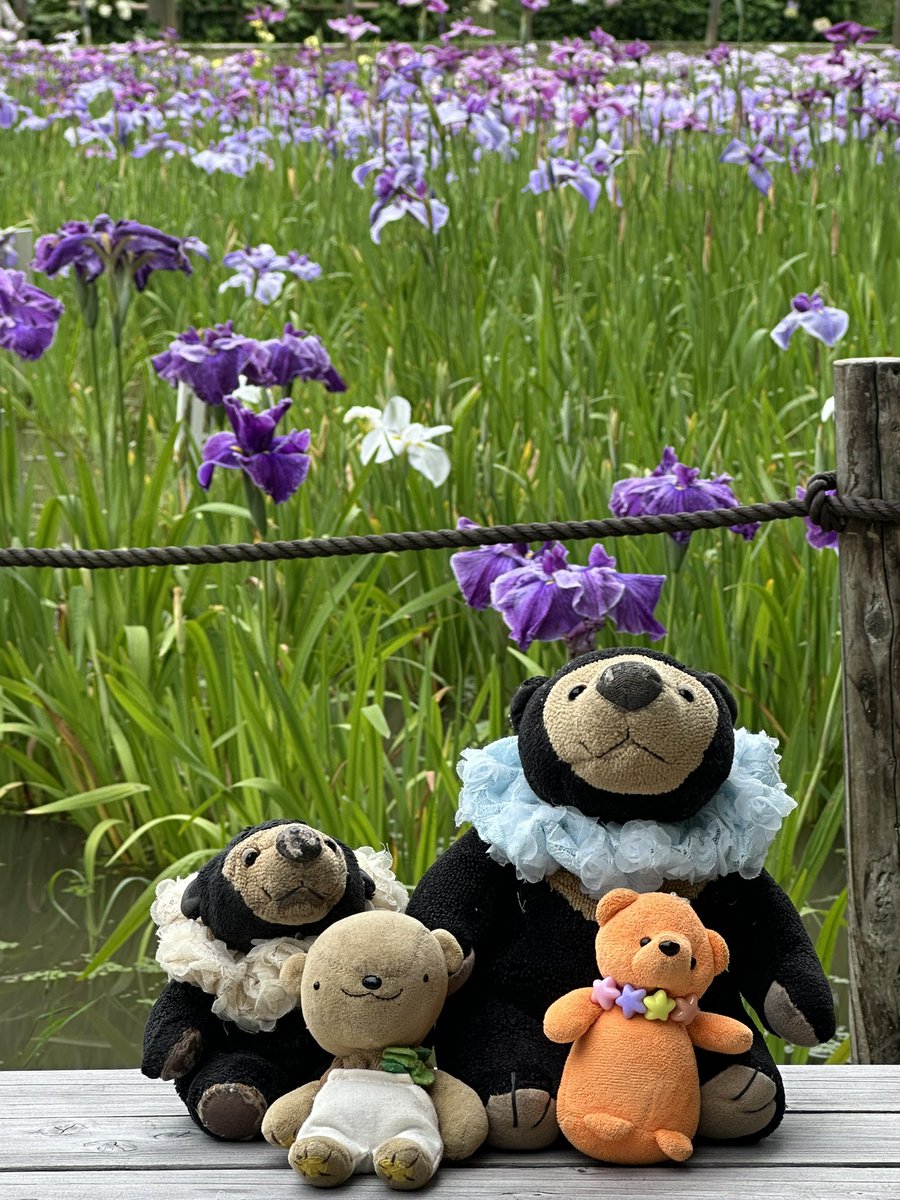 くま子さま専用です。 くま☆様専用 くまこ様専用 くまこ様専用デザイン確認用です୨୧