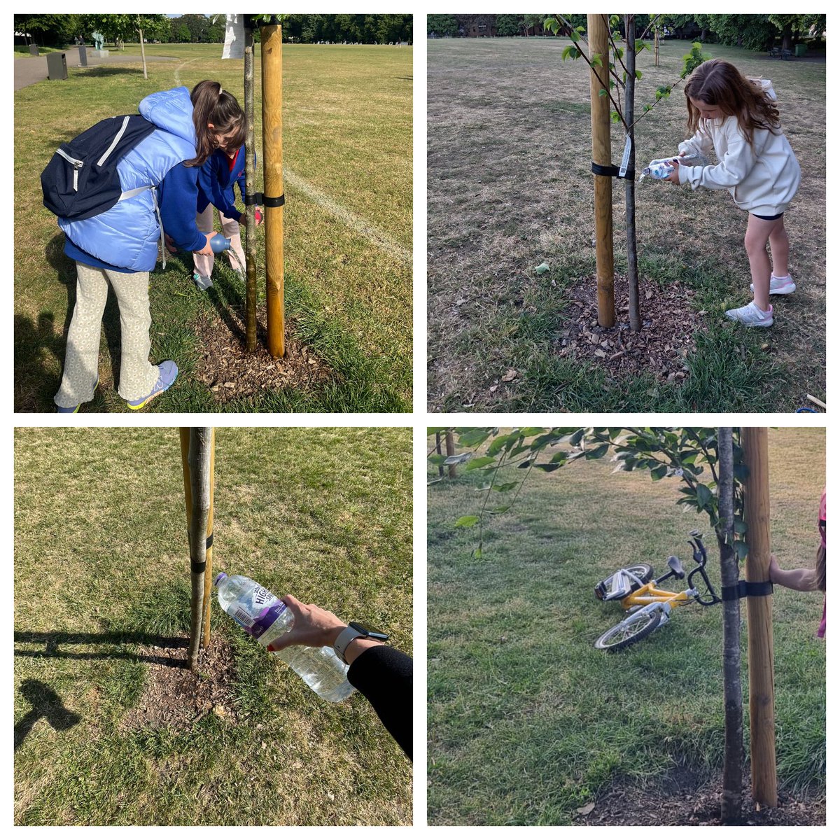 WandsworthPark's tweet image. So this year 60 people have adopted (#Befriended @ArbAssociation @TiCLme  @LTOA33) our 26 new trees and are giving them extra water regularly over the summer

It’s possibly the loveliest thing we’ve ever seen @WandsworthPark