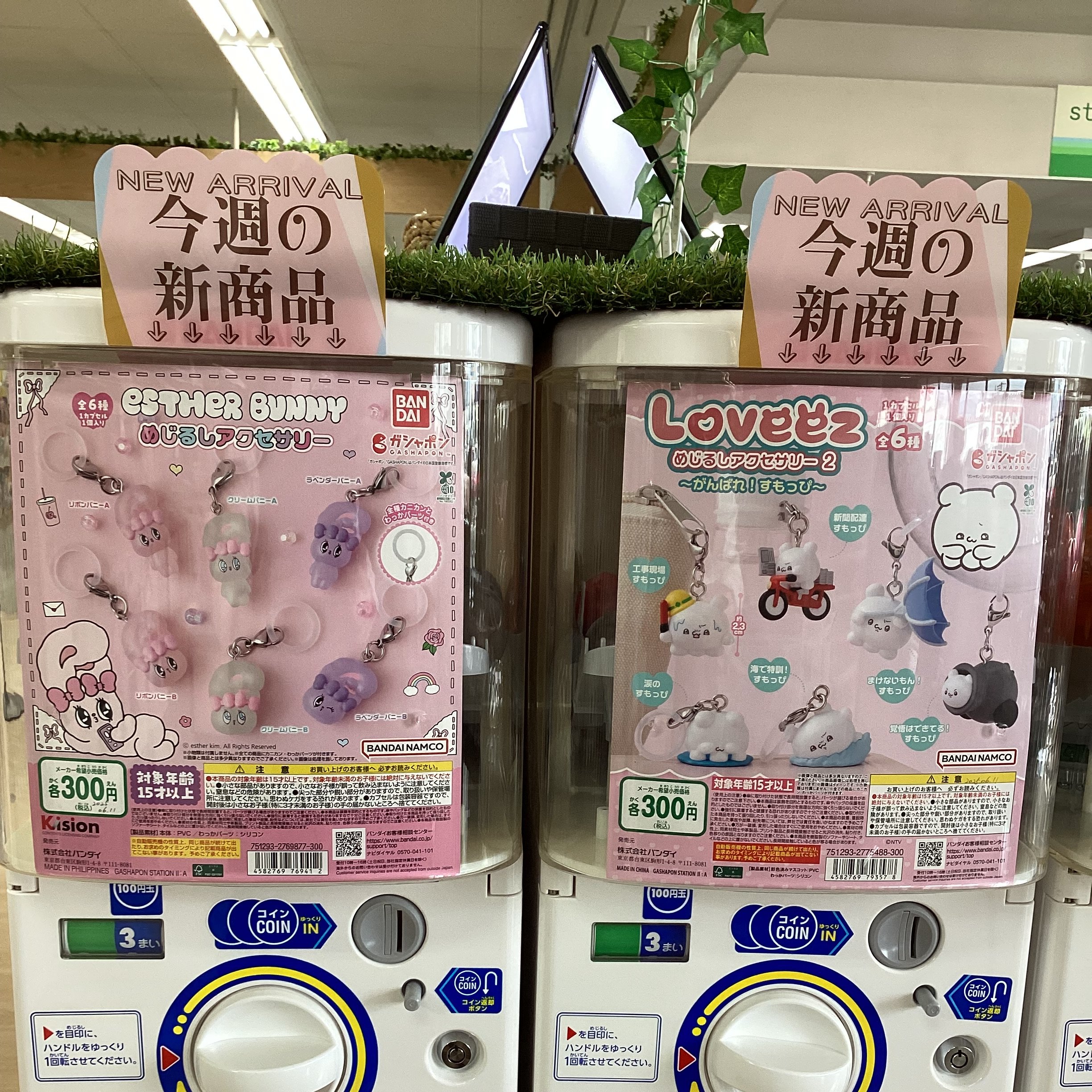 ☆ガチャガチャ入荷しました✨🎯【Tamagotchi×ONE PIECE