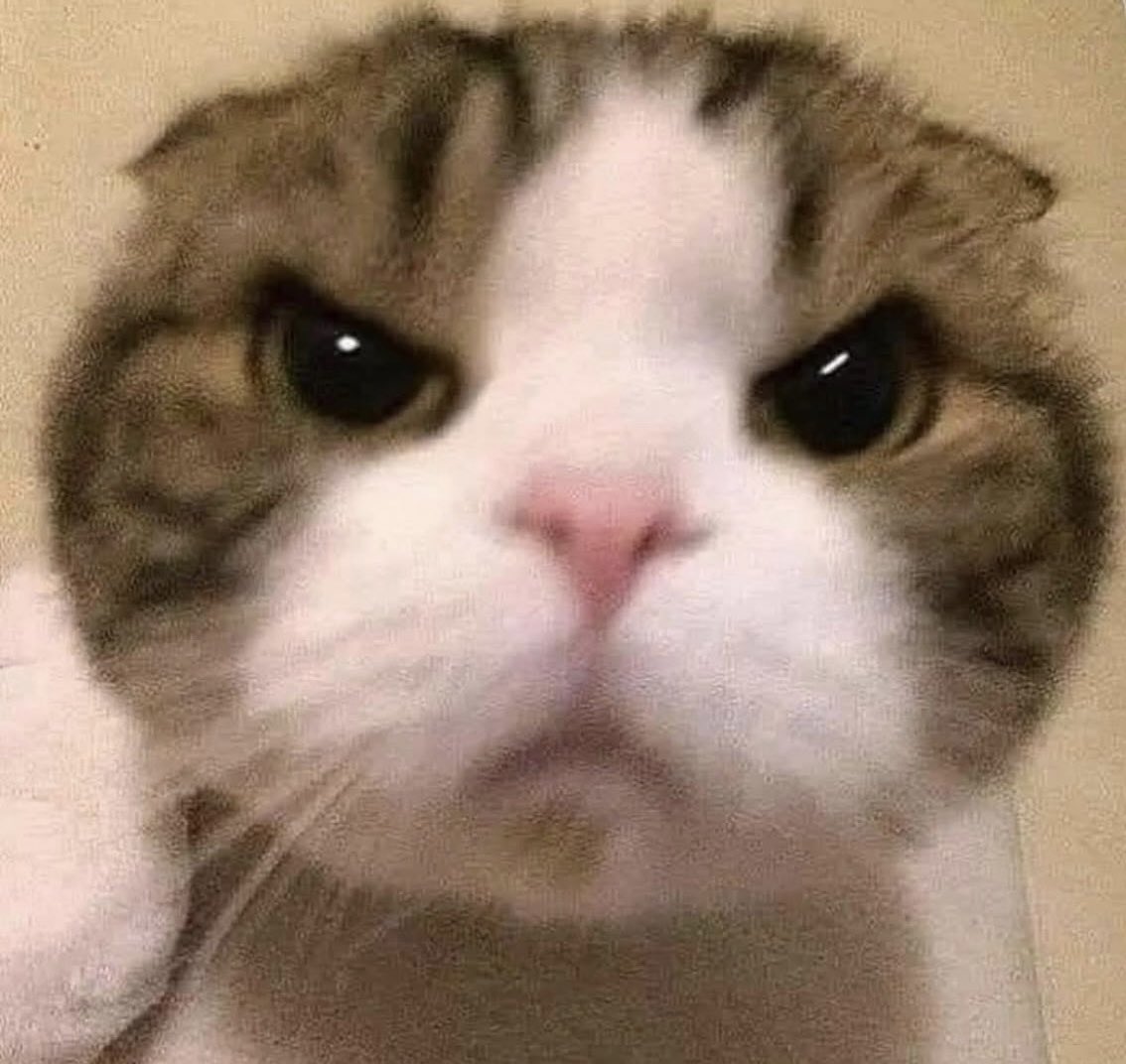 Winter 🥶 (@winter_9514) on Twitter photo 