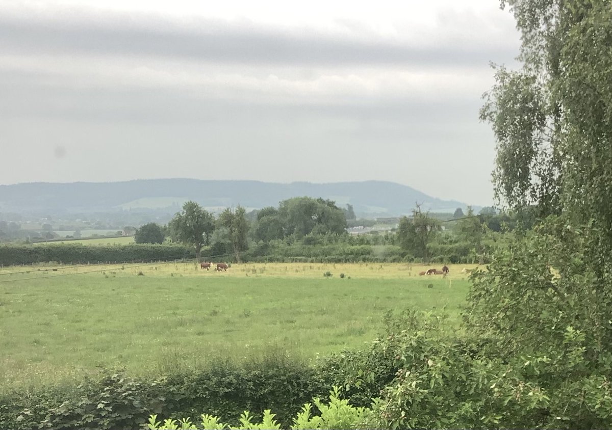 Good morning from the #WelshMarches. All is green. Still dry but bands of cloud approaching from Powys. A good year for fledgling sparrows in the hedges.