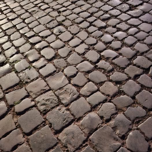 Elena Marqués Núñez tweet media