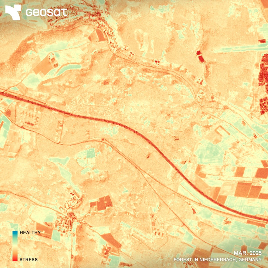 geosat_sat's tweet image. Deforestation Analysis in Germany
Using GEOSAT VHR satellite imagery and NDVI analysis, we identified significant forest loss in the Niedererbach region over the past decade (2016–2025).
A local case reflecting a global trend.
Read more here: geosat.space/blog/deforesta…