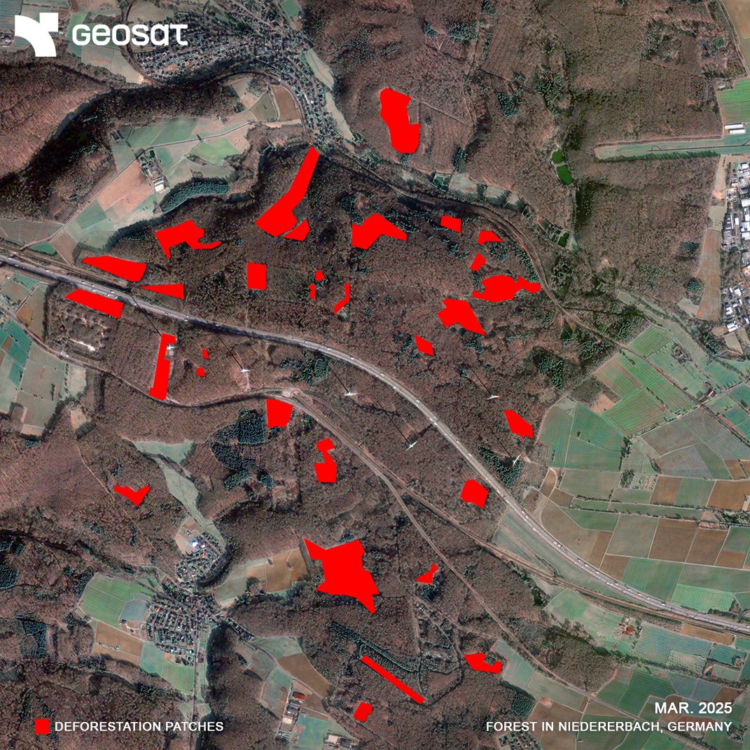 geosat_sat's tweet image. Deforestation Analysis in Germany
Using GEOSAT VHR satellite imagery and NDVI analysis, we identified significant forest loss in the Niedererbach region over the past decade (2016–2025).
A local case reflecting a global trend.
Read more here: geosat.space/blog/deforesta…