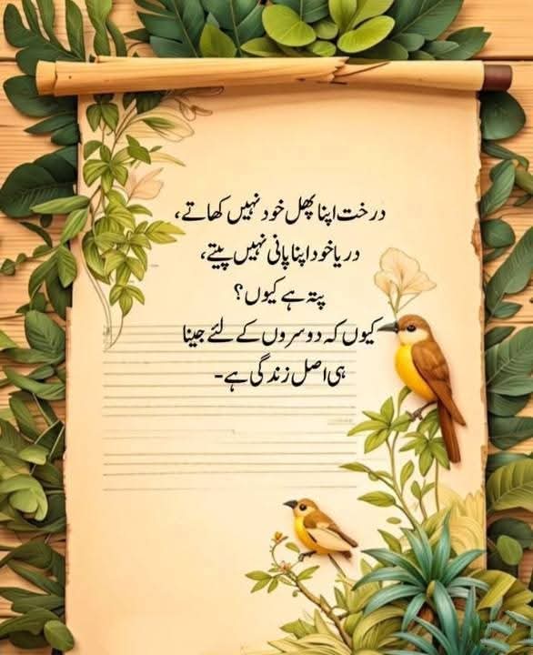 Muhammad Imtiaz Khan tweet media