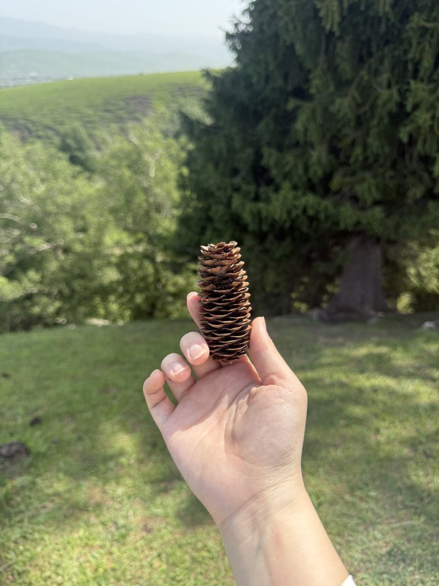 草原上，马背上