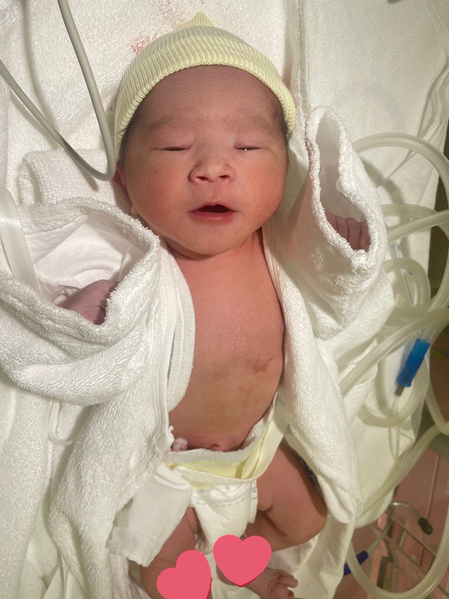 𝐏𝐎𝐍𝐙𝐔💋 tweet media