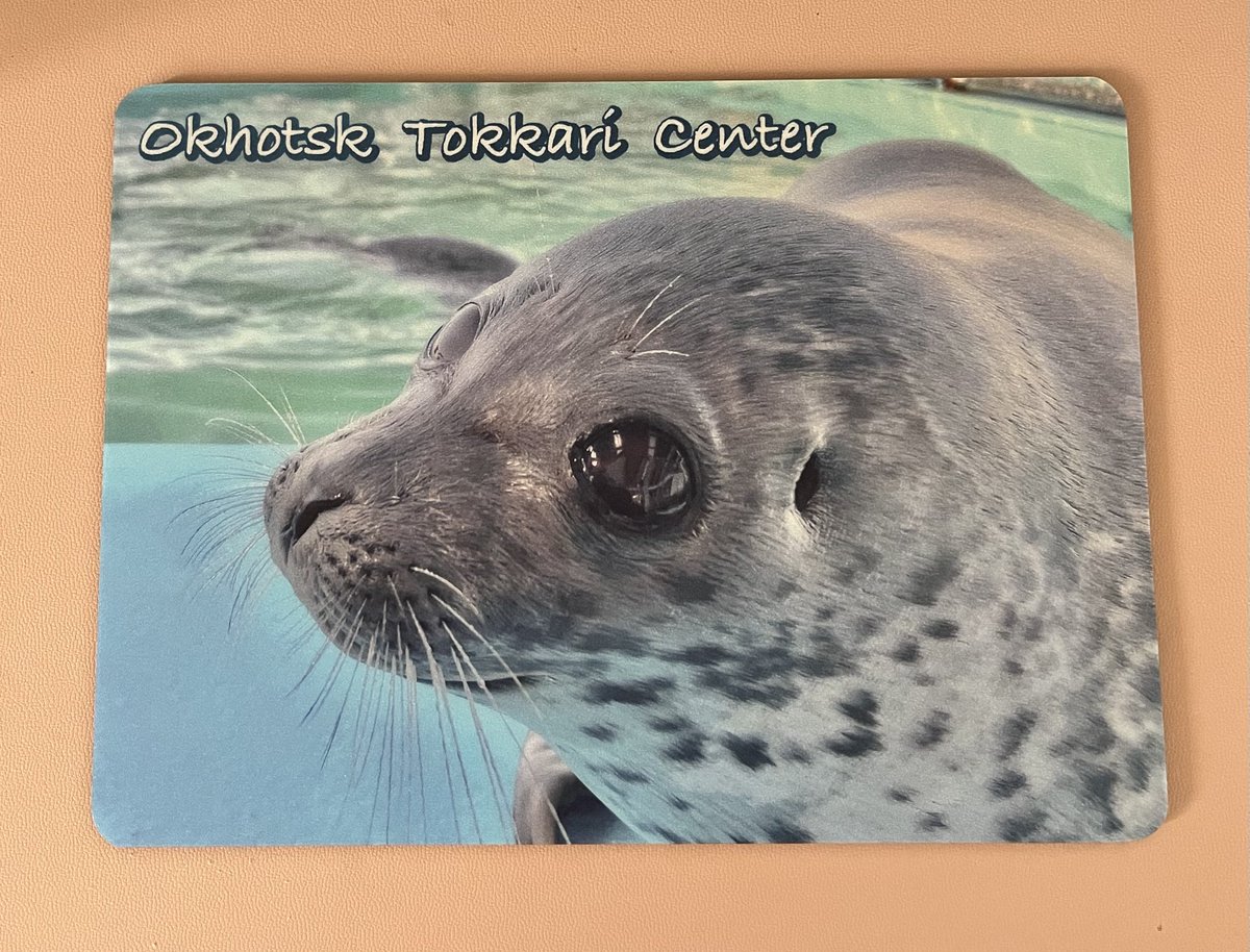 love ponsuke🦭forever (@ponsukeforever) / Posts / X