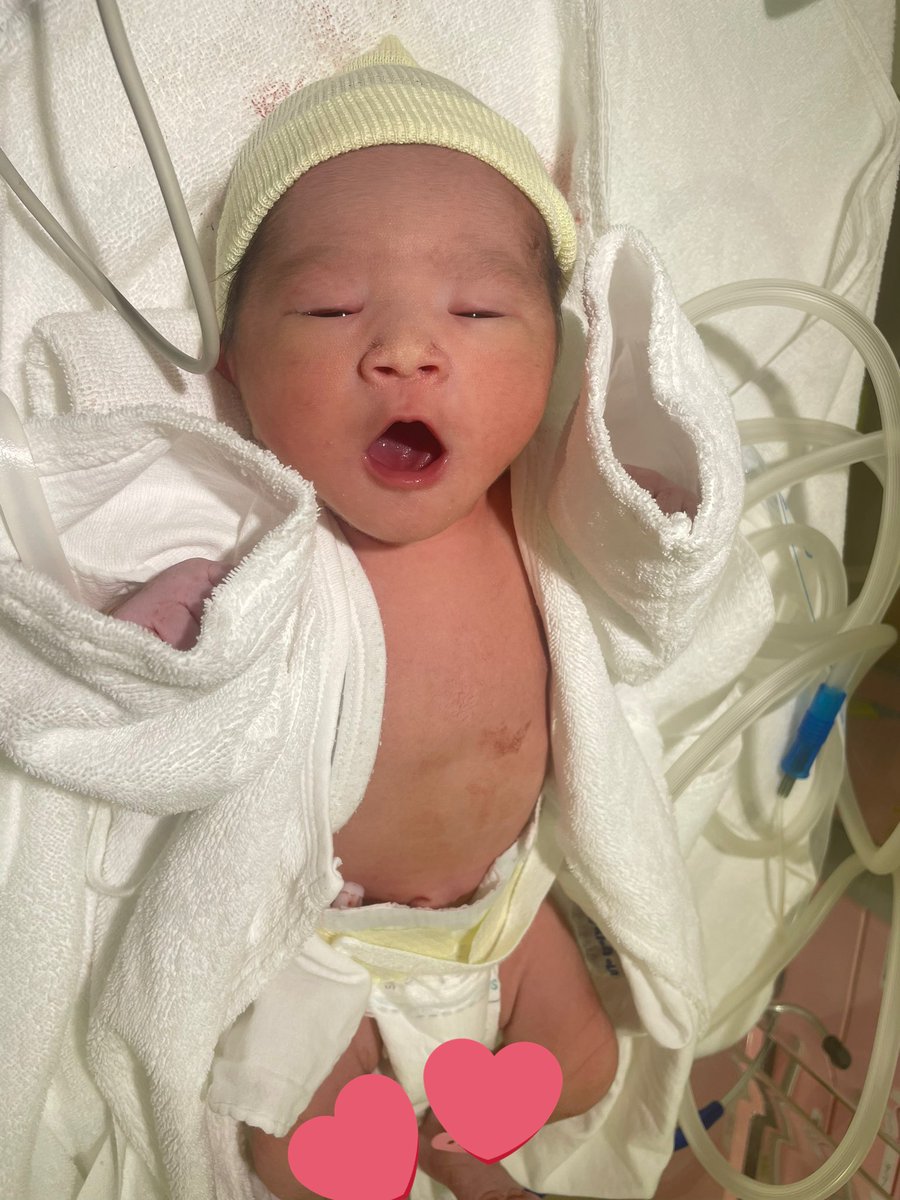 せーやまん🌸 キノコ伝説 tweet media