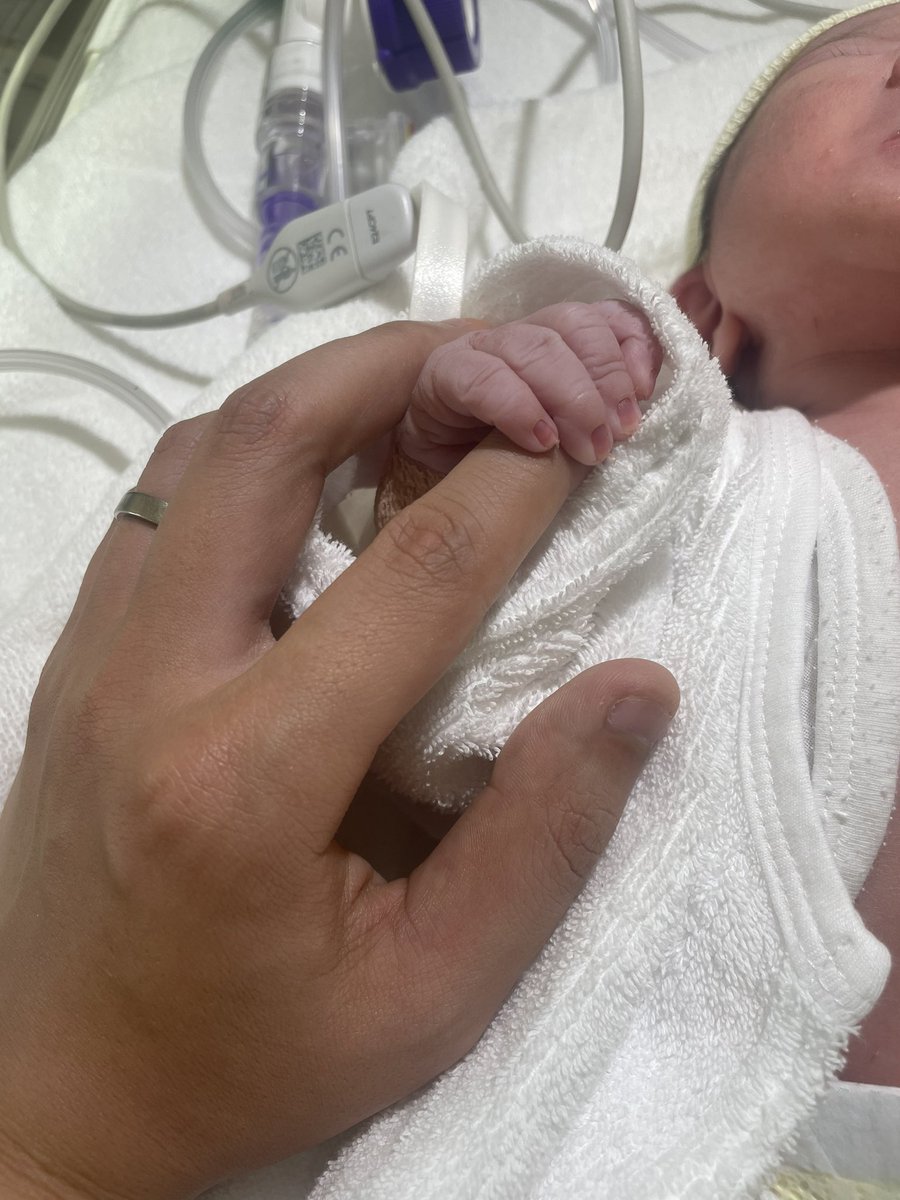 せーやまん🌸 キノコ伝説 tweet media