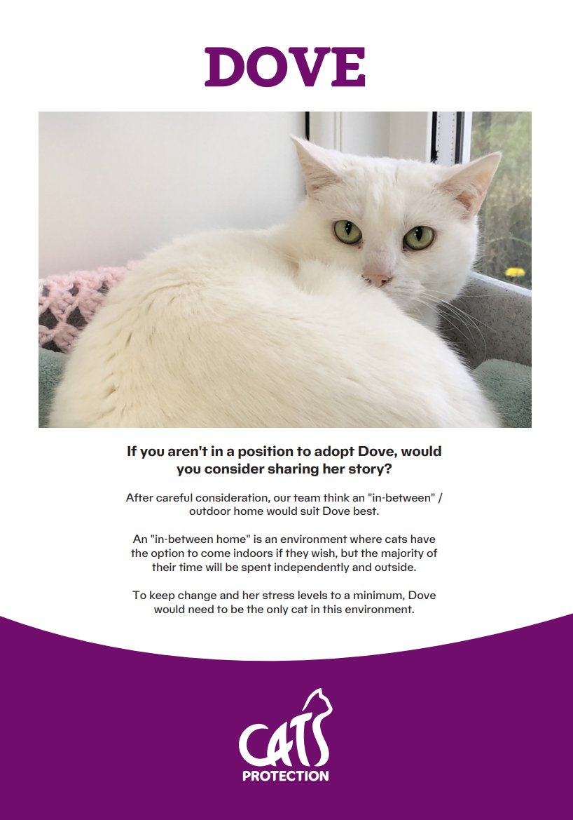 We are confident that when Dove gets into the right setting for her, she will blossom into a happy and content cat. Unfortunately, at the moment, she is neither 😿 

Head over to our website to find out more 👇🏻🤍🕊
cats.org.uk/findacatform/?…