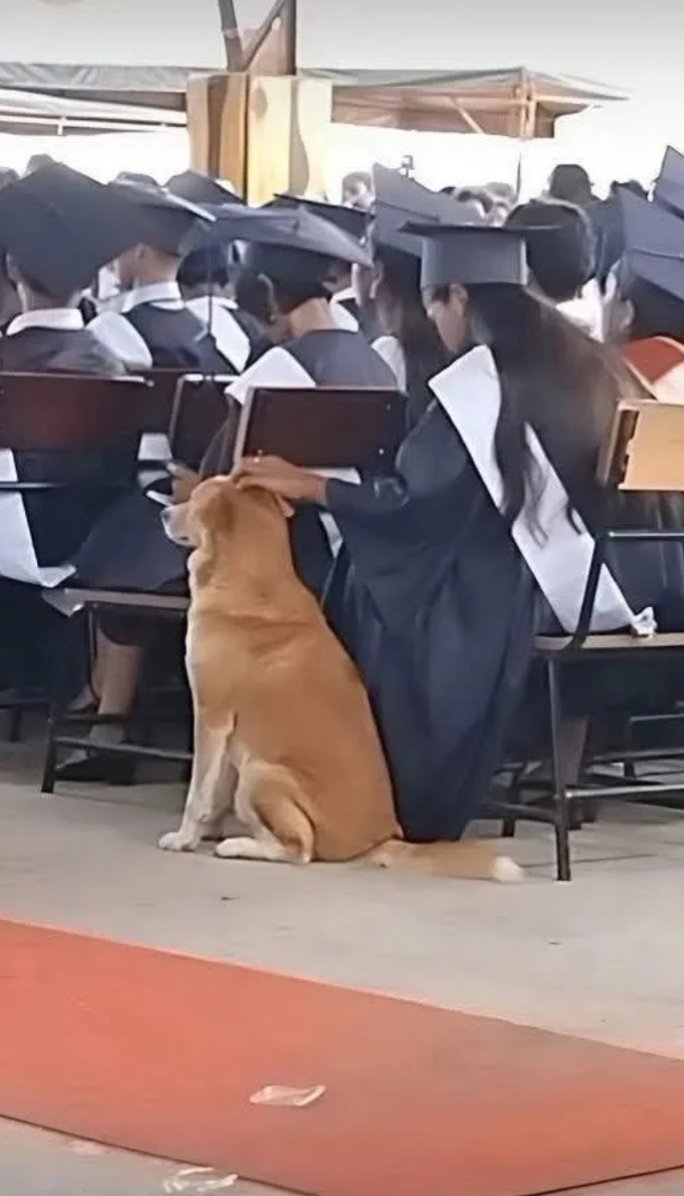 Questa ragazza, che si è laureata in legge,
è orfana di padre e madre.
Ha pagato da sola i suoi studi.
Nel giorno più felice della sua vita,
ha invitato il suo amico,🐶
che non si è mai separato da lei.