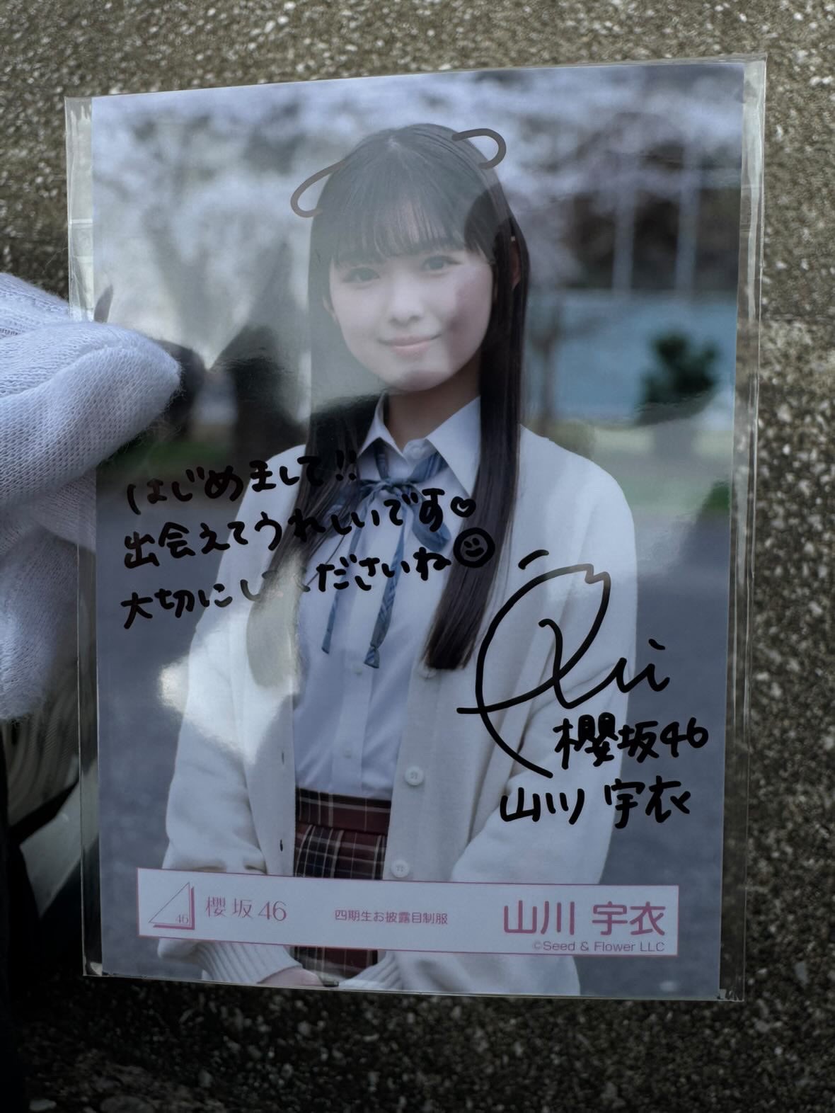 櫻坂46 生写真 四期生お披露目制服 直筆サイン 山川宇衣 ヨリ