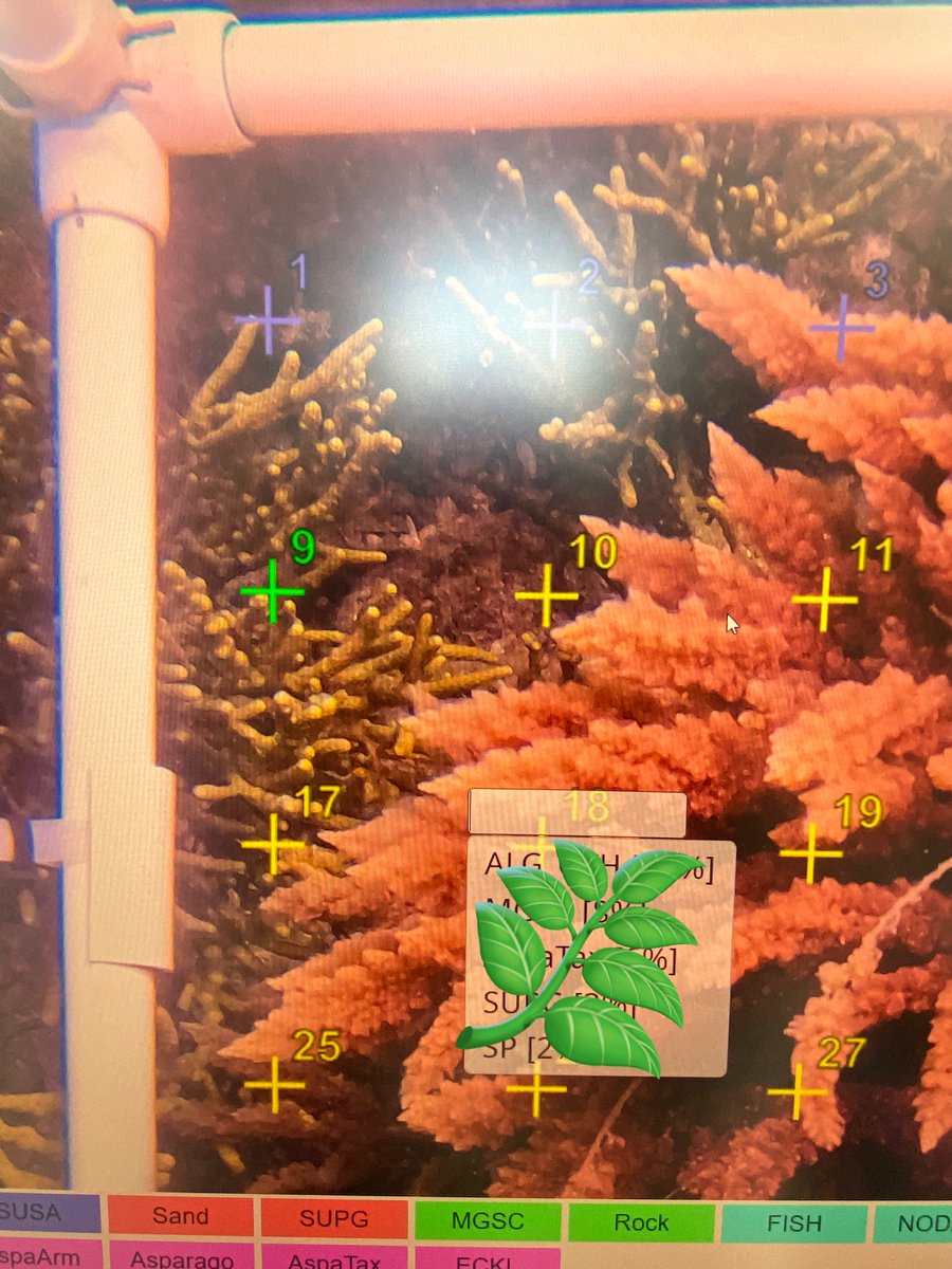 HannahNunn4's tweet photo. Next up for posting my drafts:

“The past 6 months in my first full time marine science role at SARDI Aquatic Sciences has been such a great learning curve! Upskilling, upskilling, upskilling 🐟🌱🌊⛴️🤿🐚” https://t.co/9NEWW6CnTG