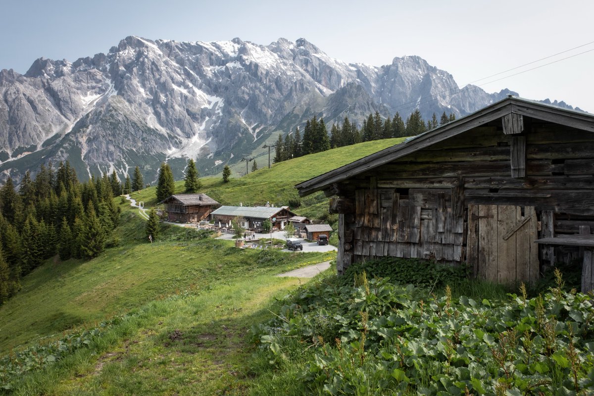 Hochkönig mountain range. June 2025
