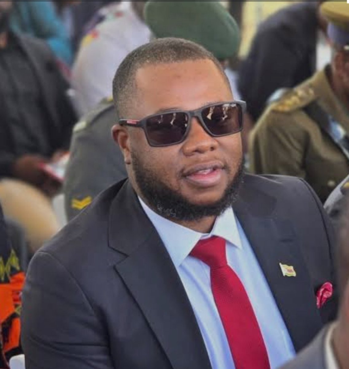 Walter Mzembi met Kuda Mnangagwa on his flight ✈️ from London recently,the two gentlemen started talking….

Walter Mzembi: Aah Shumba makadii? 

Kuda Mnangagwa: Bamnini murisei Mdhara Wangu ? 

WM : Ndinofara Murabwi 

KM : aah Mdhara dzokai kumusha muzomira ne-Mukoma wenyu