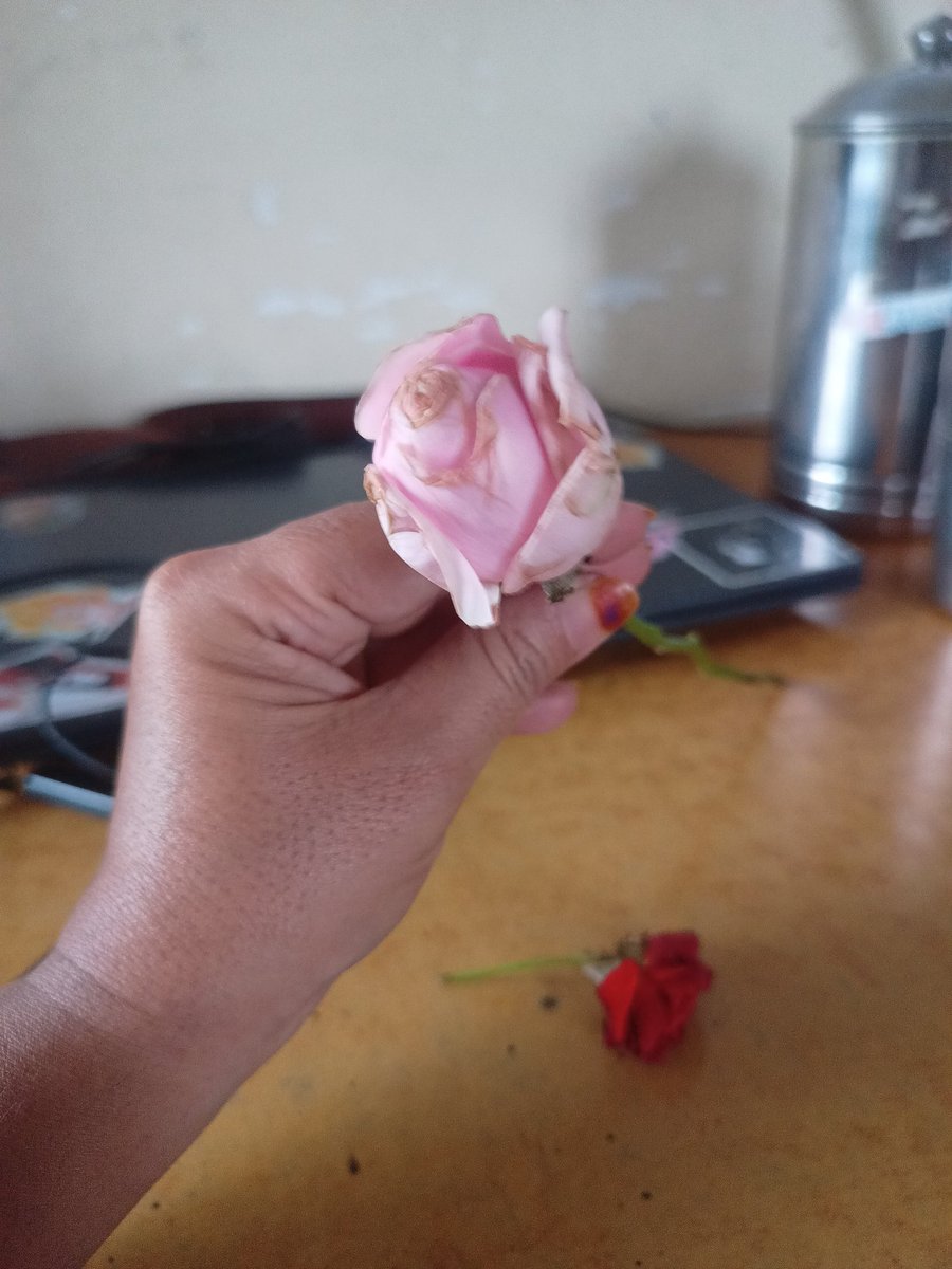 इश्क क्या है💞
समझो तो एक एहसास💞
देखो तो एक रिश्ता,,,💞
कहो तो एक लफ्ज़💞
चाहो तो एक जिंदगी💞
ना चाहो तो मौत💞
करो तो इबादत💞
निभाओ तो वादा💞
मिले तो जन्नत💞
ना मिले तो कुछ नहीं ❤️

#बुझी_सिगरेट