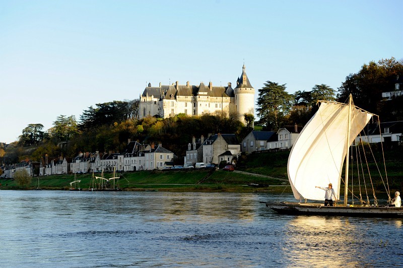 Rémi Train Centre Val de Loire (@remitrain) on Twitter photo ✨ Venez découvrir le Domaine de <a href="/Chaumont_Loire/">Domaine de Chaumont-sur-Loire</a> avec le Pack #REMI 3 en 1 ! ✨
🚆 Train + Navette Château + Entrée à prix réduit
💸 50% de réduction sur le transport + entrée à prix spécial
🔗 Infos ter.sncf.com/centre-val-de-… ✨ Venez découvrir le Domaine de <a href="/Chaumont_Loire/">Domaine de Chaumont-sur-Loire</a> avec le Pack #REMI 3 en 1 ! ✨
🚆 Train + Navette Château + Entrée à prix réduit
💸 50% de réduction sur le transport + entrée à prix spécial
🔗 Infos ter.sncf.com/centre-val-de-…