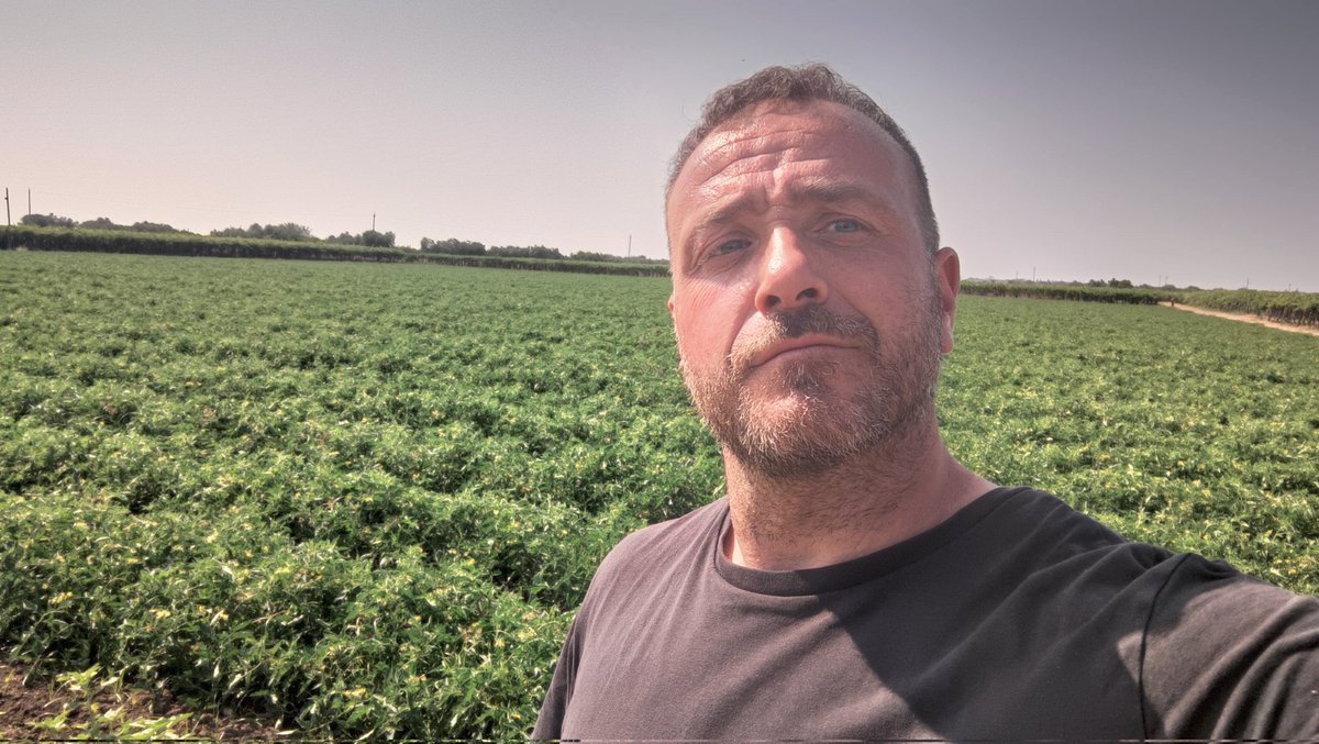 A quelli che dicono che "il mare stanca" li metterei a raccogliere i pomodori