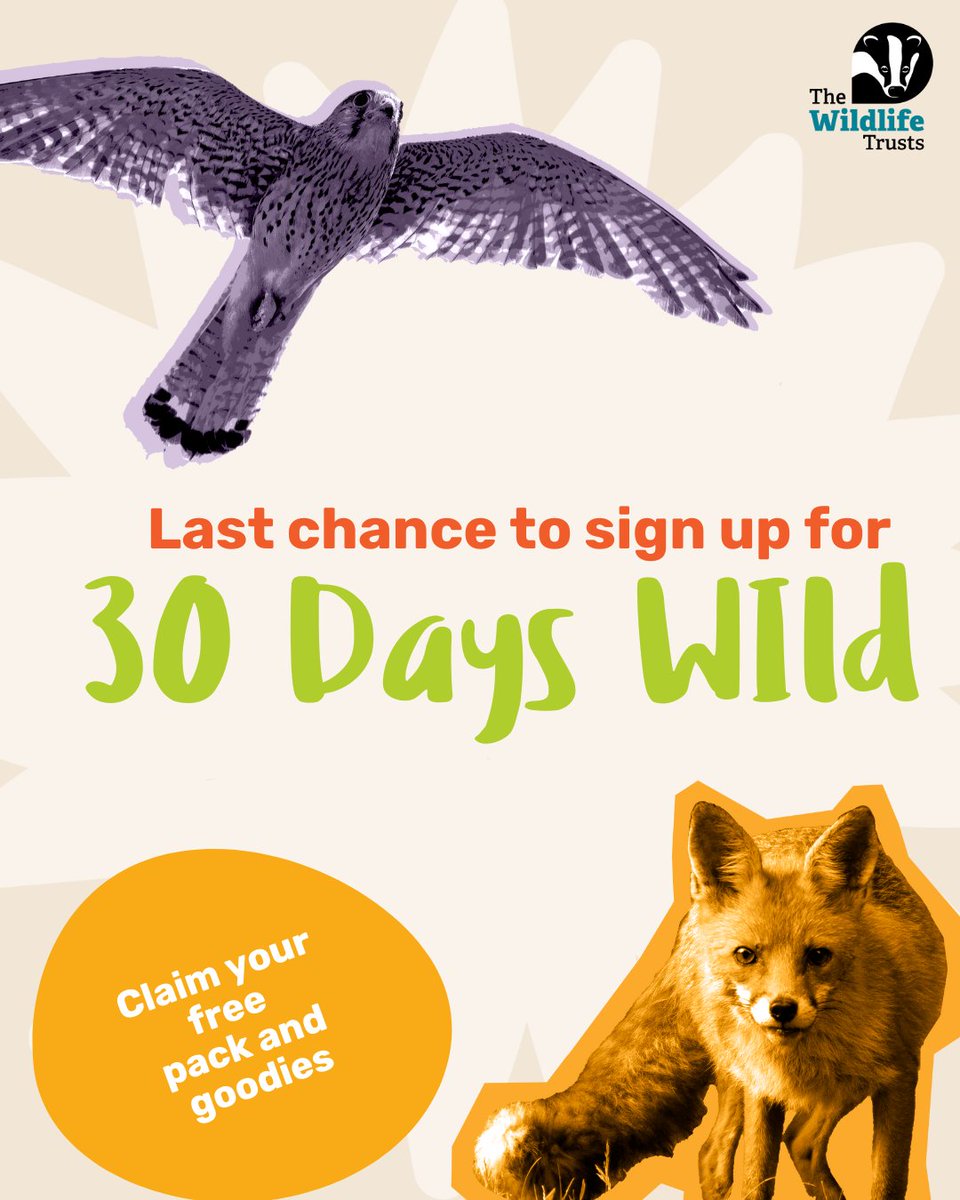 ⏳ Last chance to grab your free pack 🌿

June is here – but it’s not too late to join #30DaysWild!

Enjoy simple, joyful ways to connect with nature – totally FREE! 💚🌼

Sign up now 👉 wildlifetrusts.org/30dayswild