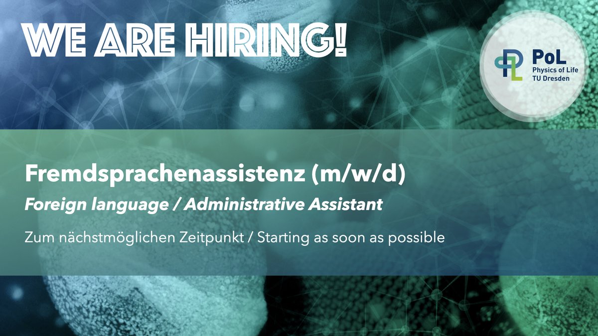 #JobAlert! 🚨We are #hiring for our admin team at PoL! Would you like to work in an international environment, and speak multiple languages? (German/English). We would love to hear from you! 
🗓️Deadline: June 26th 

Check here for more info: tud.link/rywtux
#sachsenjobs