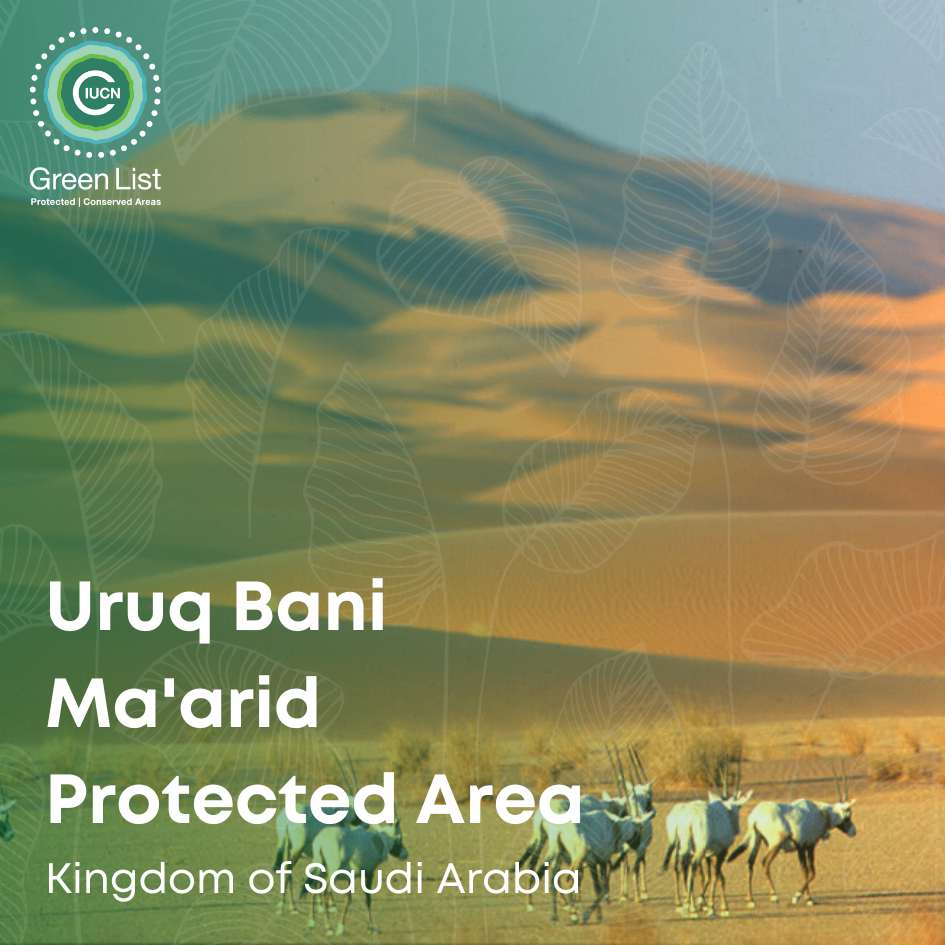 IUCN West Asia (@iucnrowa) on Twitter photo Congrats to Uruq Bani Ma‘arid Protected Area 🇸🇦 for joining the #IUCNGreenList!
A major milestone for conservation in the MEWA region!
#IUCNROWA #ProtectedAreas #NatureForAll #Biodiversity
<a href="/NCW_center/">المركز الوطني لتنمية الحياة الفطرية</a> Congrats to Uruq Bani Ma‘arid Protected Area 🇸🇦 for joining the #IUCNGreenList!
A major milestone for conservation in the MEWA region!
#IUCNROWA #ProtectedAreas #NatureForAll #Biodiversity
<a href="/NCW_center/">المركز الوطني لتنمية الحياة الفطرية</a>