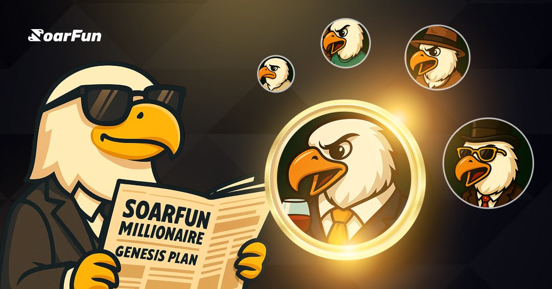SoarFun tweet media