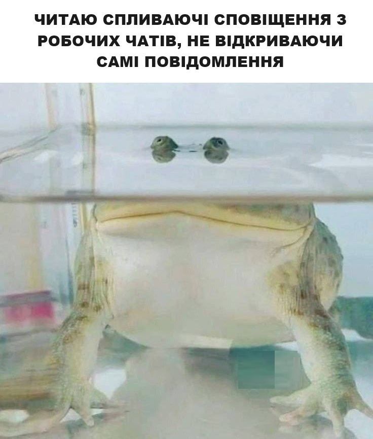 whatafactukr's tweet photo. Ми? https://t.co/NmUPr52Mz6