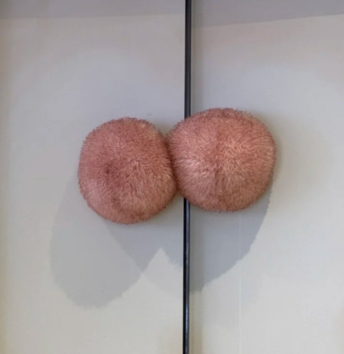 ประตูไข่แมวที่จริงใจ เปิด-ปิดทีไรรู้สึกเหมือนไข่โดนหนีบ 🤣🤣🤣