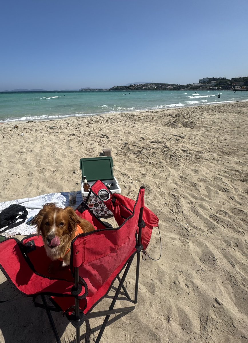 Sabah uyandım hanıma dedim hadi kalk Ilıca’ya gidelim. Hazırlandık eşyaları arabaya götürdüm arabanın kapıyı açar açmaz herkesten önce bindi. Nasıl evde bırakabilirsin ki bırakamazsın. Bütün günümüzün anasını sikmek için and içti köpek soyu