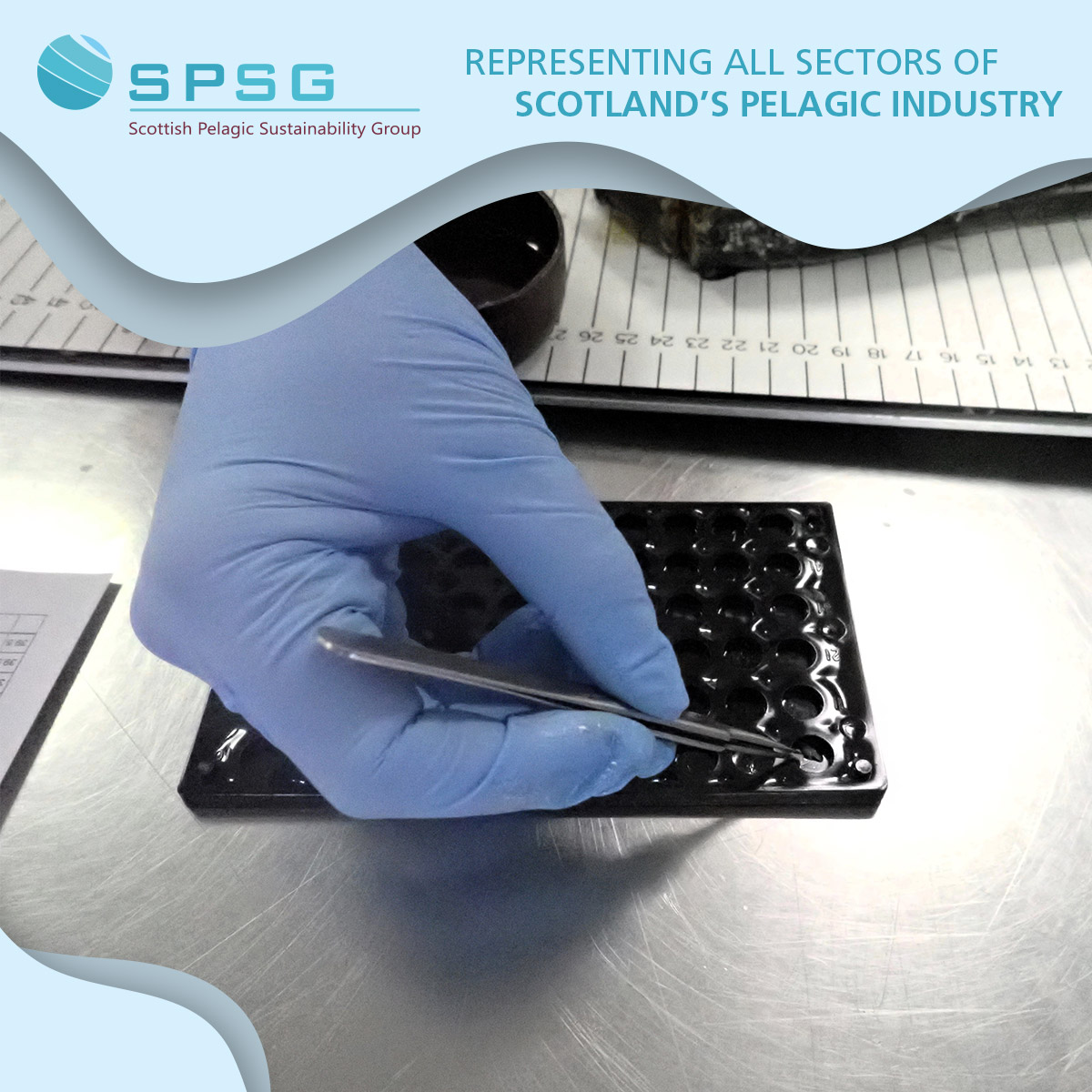 The Scottish Pelagic Industry-Science Data Collection Programme collaboration fosters a relationship between industry and science, creating a pathway for even closer collaboration, and ensures that fishermen are at the heart of securing the future sustainability of our fisheries.