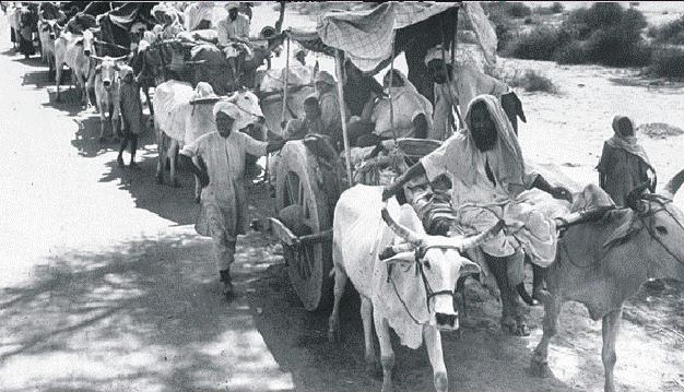 Indian internal migration is among the highest in the world, with 30% of the population migrating. In this study, authors show that internal migration has the potential to alleviate poverty.  Also, migration does not reduce forest degradation in short term:papers.ssrn.com/sol3/papers.cf…