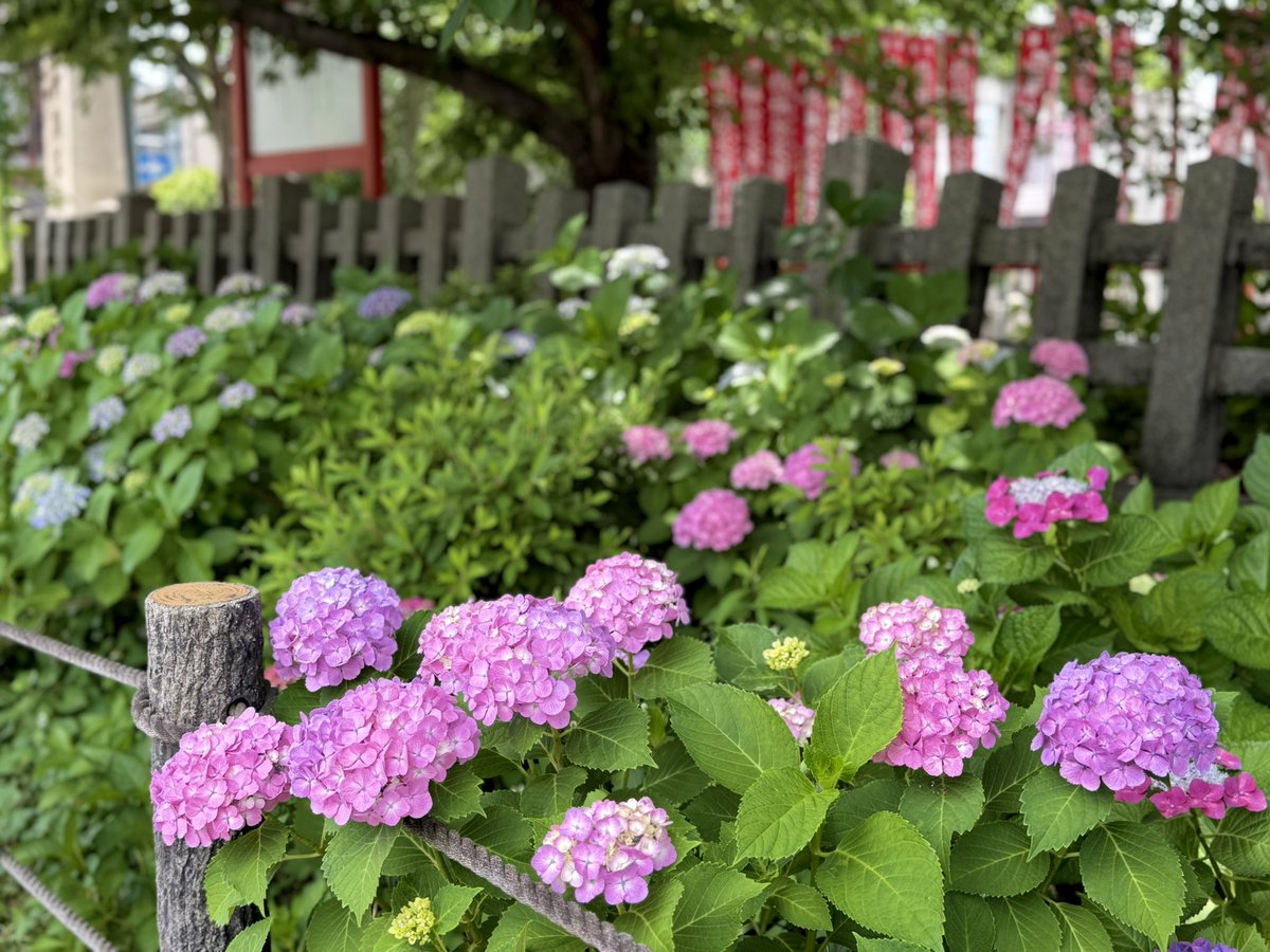 まこ 社寺めぐり on X