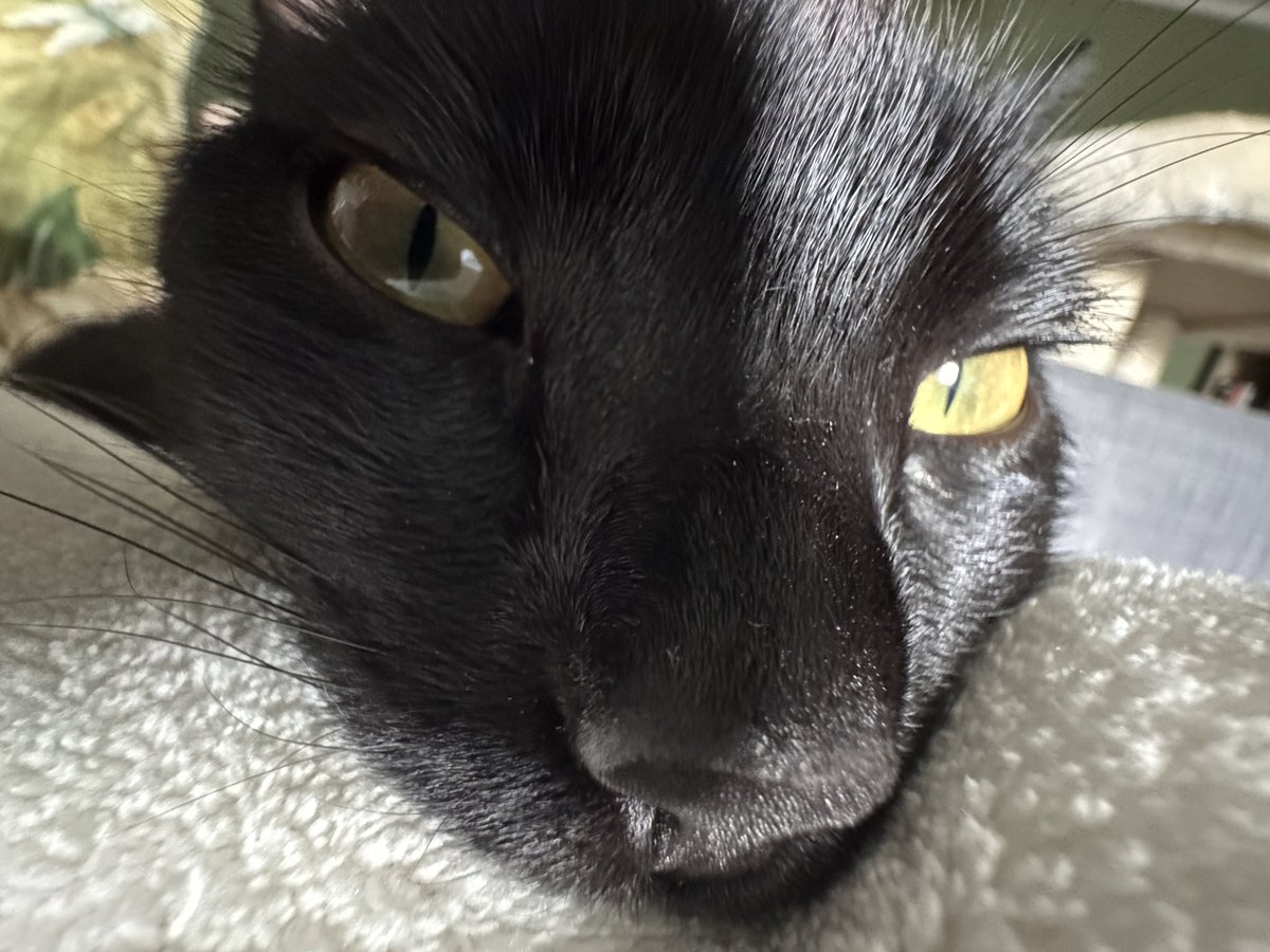 lookunderscore's tweet image. some stuff