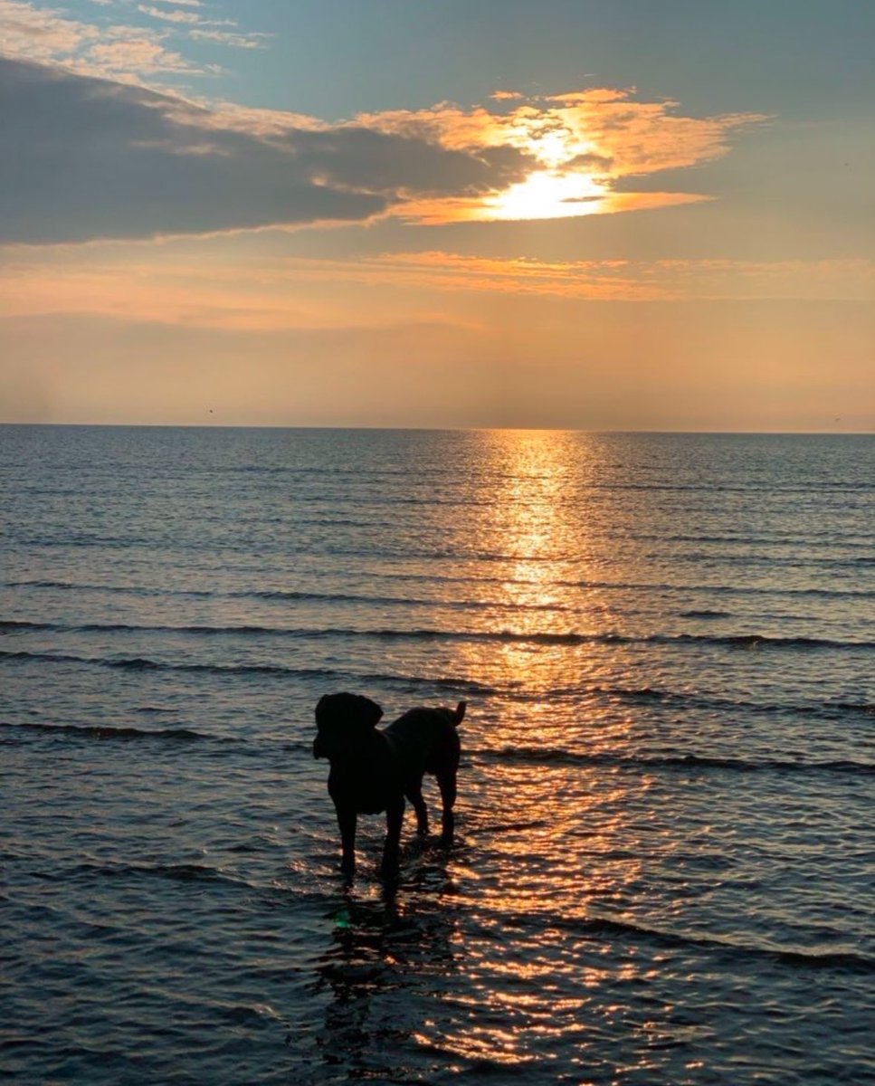 Love is like an ocean, we can see its beginning, but not its end. ❤️