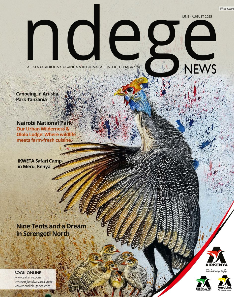 AerolinkUganda's tweet image. Your safari reading is ready! The latest edition of #NdegeNews has arrived and is now available on all our flights. As you fly with us over #thePearlofAfrica, immerse yourself in captivating stories from across our stunning region. Grab your complimentary copy on board. #Aerolink