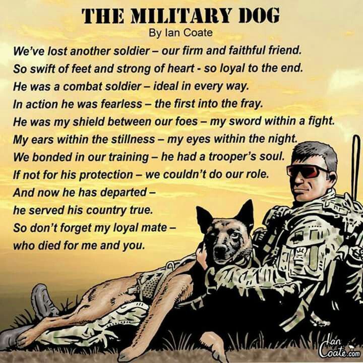 gsd_loversclub's tweet image. #MilitaryDog
#MWD
#WorkingDog
#K9
#HeroDogs
#FallenButNotForgotten
#EOW 
#DogLoss
#Loyalty
#ServiceDog
#Veterans
#NeverForget
#Tribute
#DogsOfTwitter