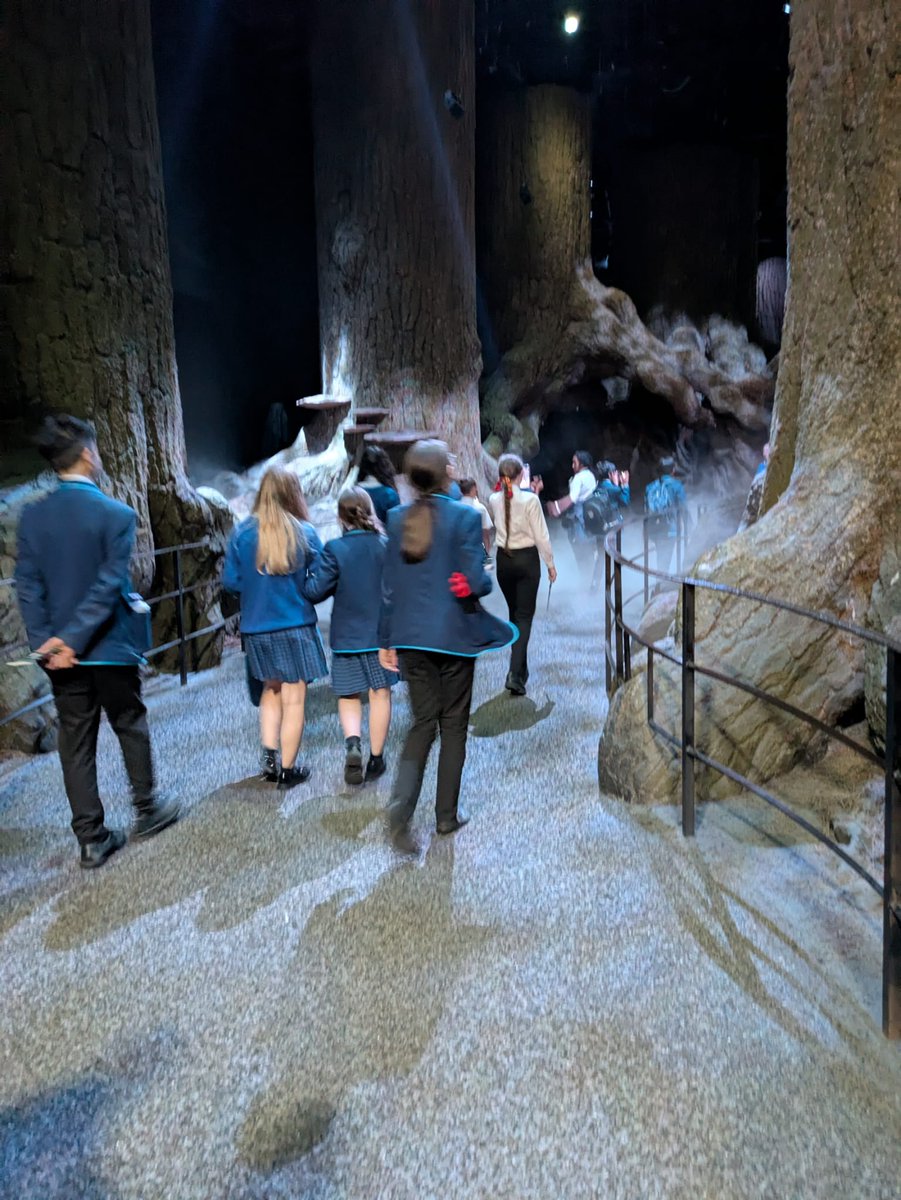 Harris Sutton tweet media