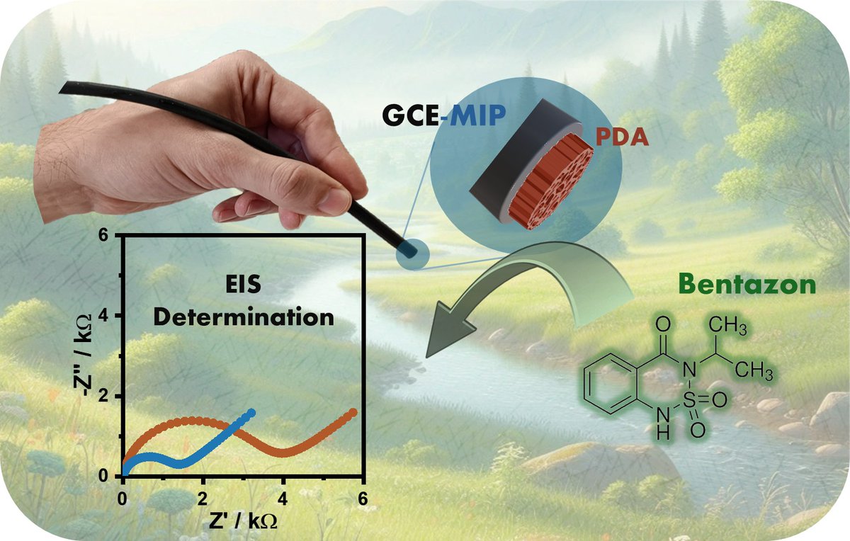 We are pleased to share our latest research on pesticide detection from molecularly imprinted polymers. Leveraging the group's extensive experience with dopamine, we use polydopamine to selectively retain and detect pesticides at femtomolar concentration!

doi.org/10.1016/j.elec…
