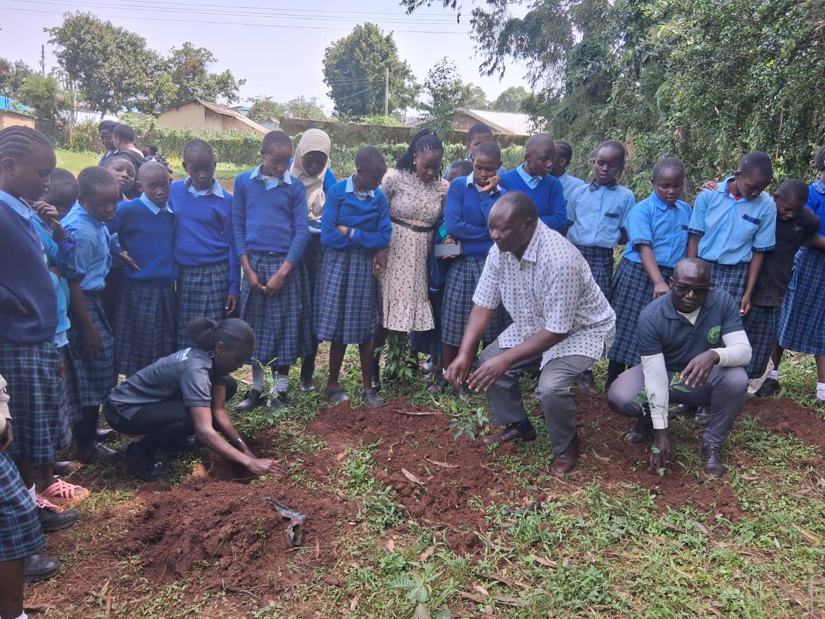 Tobacco Control and Health Promotion Alliance (@ketca254) on Twitter photo On #MenstrualHygieneDay,we joined partners in Kakamega county for a day of impact, planting trees, donating pads, and championing menstrual health education.Together with <a href="/KenyaRedCross/">Kenya Red Cross</a>,MOE, <a href="/MOH_Kenya/">Ministry of Health</a> , and the Women Rep’s office, we fostered dignity,support and sustainability. On #MenstrualHygieneDay,we joined partners in Kakamega county for a day of impact, planting trees, donating pads, and championing menstrual health education.Together with <a href="/KenyaRedCross/">Kenya Red Cross</a>,MOE, <a href="/MOH_Kenya/">Ministry of Health</a> , and the Women Rep’s office, we fostered dignity,support and sustainability.