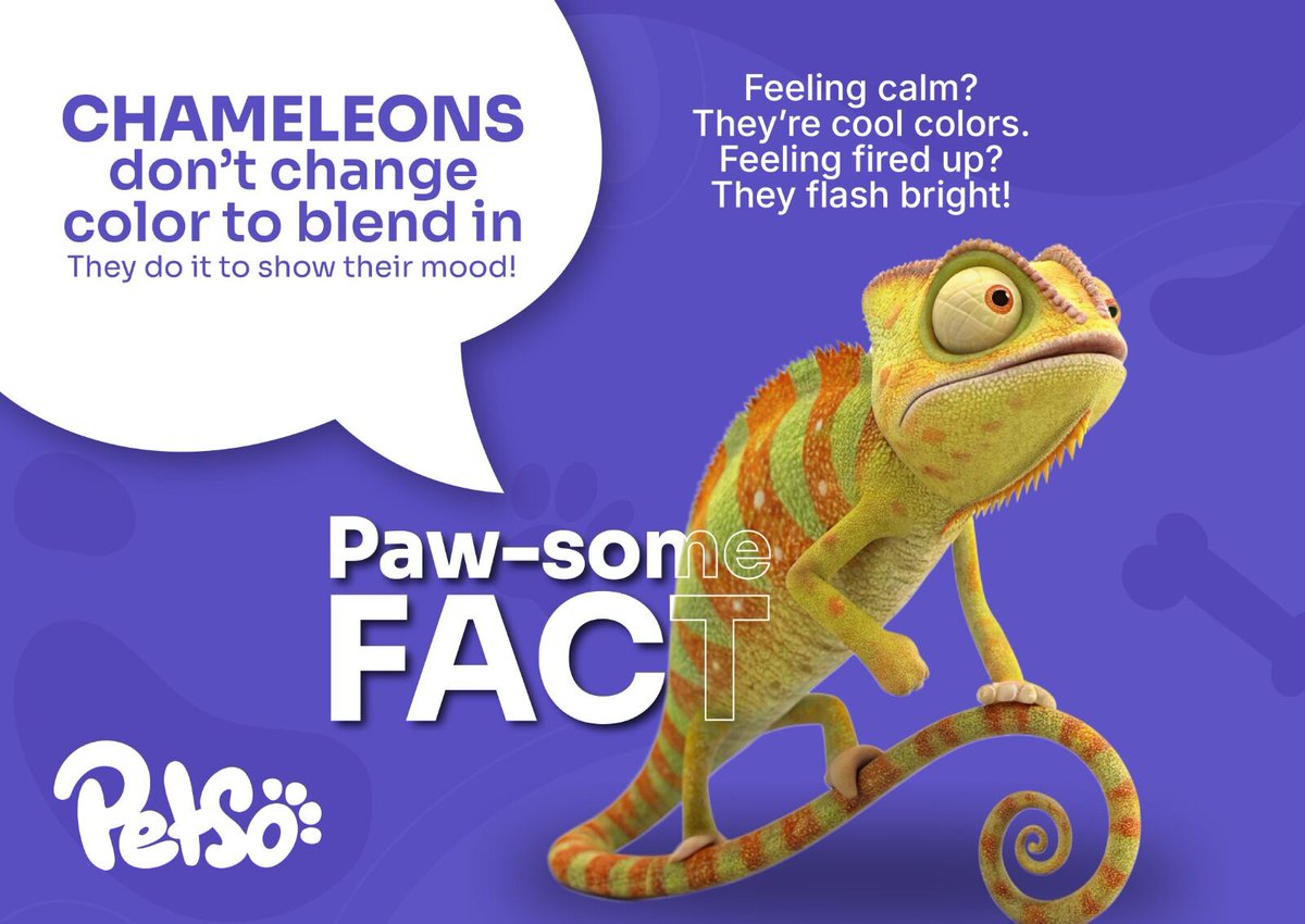 Chameleons don’t change color to hide — they do it to express themselves! 💚💛❤️

Cool hues = calm
Bright flashes = fired up!

Who knew reptiles had such mood energy? 😎🐾

#FunFact #ChameleonMood #PetsoFacts #AnimalBehavior