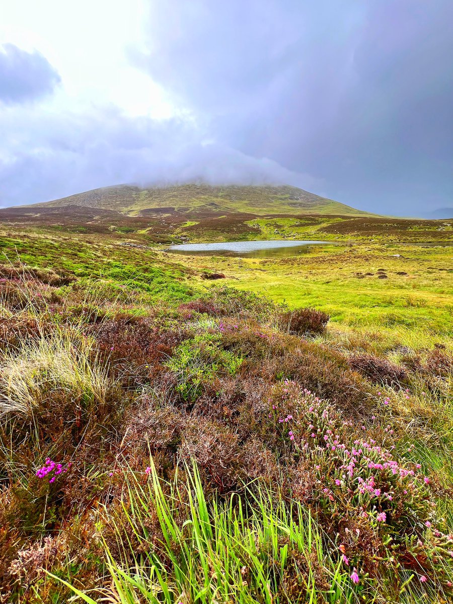 ‘Llyn Ffynhonnau’. Courtesy <a href="/Llelo2801/">Llelo Gruffudd</a> #Wales #WelshPassion