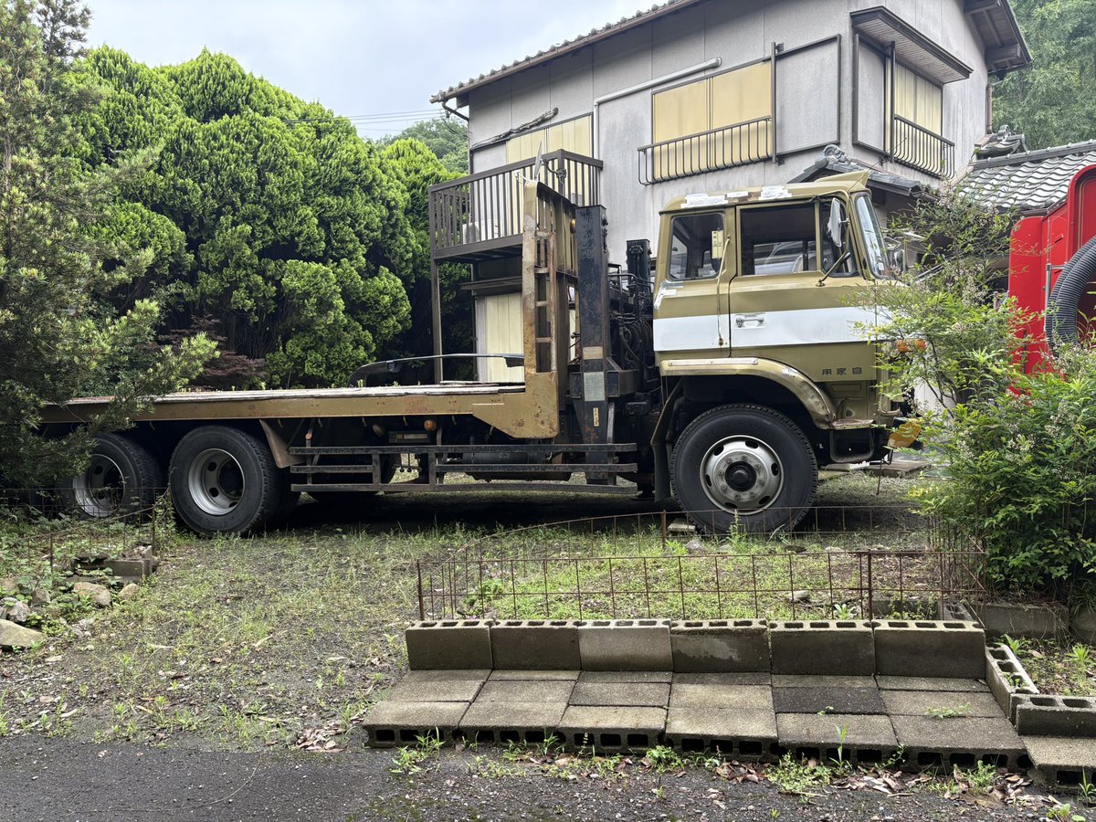 今日は色々見れた