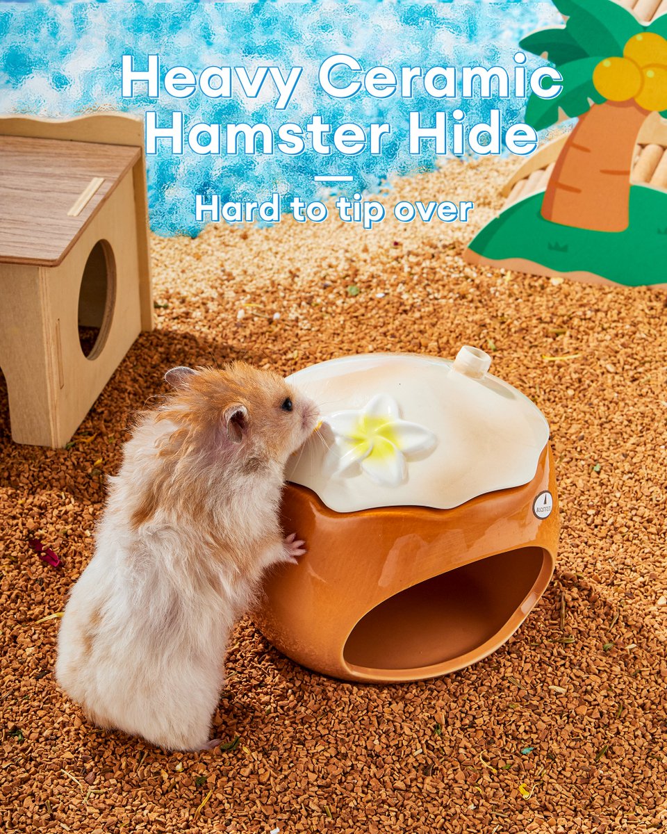 Bucatstate【公式】NEW (@Bucatstate_PET) / Posts / X