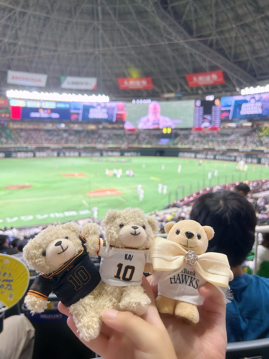 kty10___'s tweet photo. みずほから勝つぞー‼️🐰 https://t.co/mWFRVwhAMd