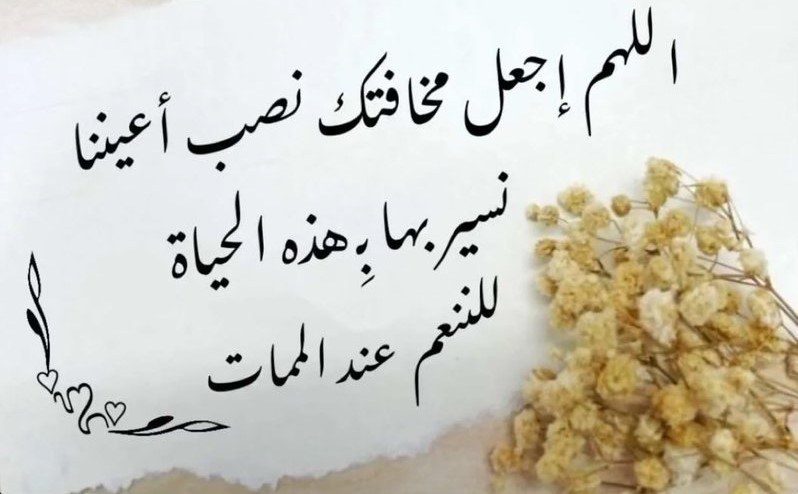 من #منبر_اليوم #الخميس 

#ان_تصل_خيرا_من_ان_تتصل #بوح_المشاعر #الوطن #الولاء #صباح_الخيرِ #رساله_اليوم #غرد_بكلمه #الاجواء_السعوديه #المملكه_العربيه_السعوديه  #صباح_الاشياء_المشرقه #حج_١٤٤٥هـ #نجاح_موسم_الحج #كاس_العالم_للانديه