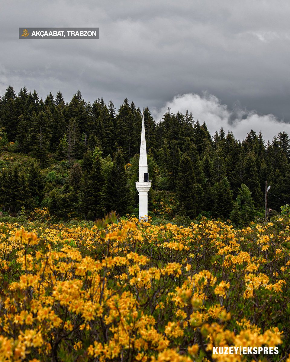 Sait Uçar'ın da dediği gibi: Benim ilacım yayla.

📍Akçaabat | Trabzon (Sisirna Yaylası)